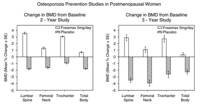 Osteoporosis Prevention Studies in  PostmenopausalÂ  Women - Illustration